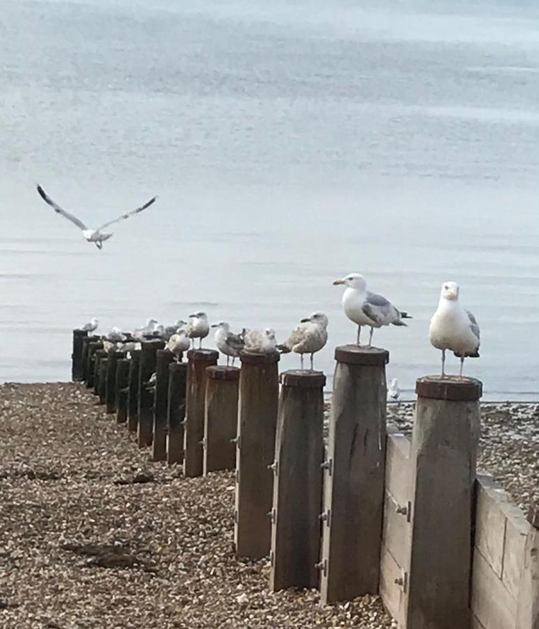 Apartament Once Upon A Tide Herne Bay Zewnętrze zdjęcie