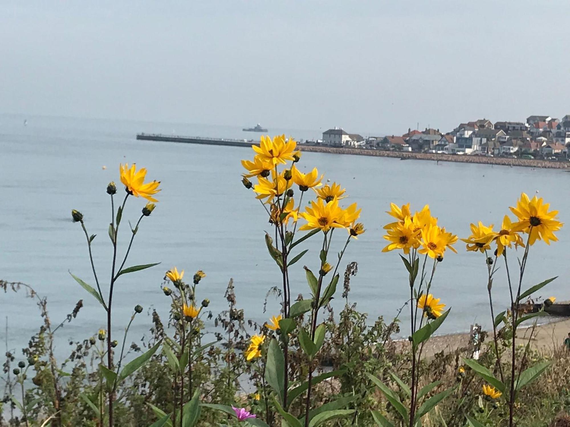 Apartament Once Upon A Tide Herne Bay Zewnętrze zdjęcie